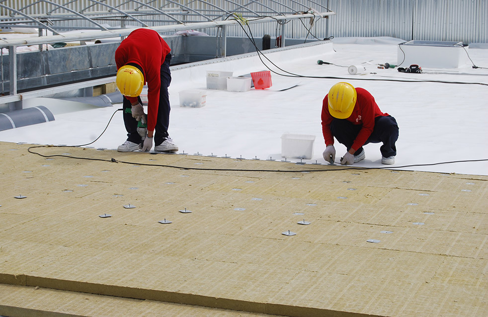 77���� �C ȫ����ȫ����̬�ȵ���������ֱ��ƽ̨