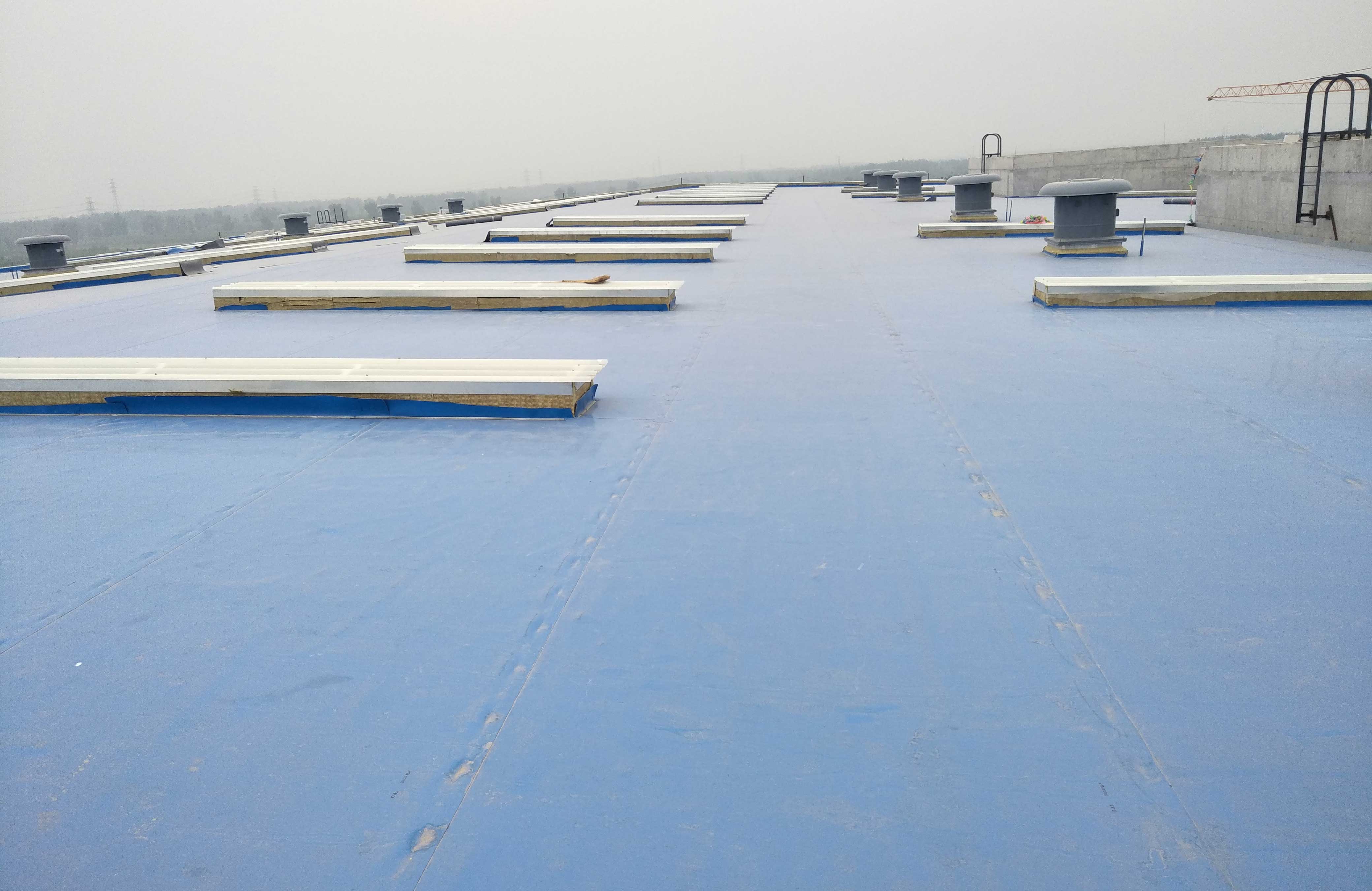 77���� �C ȫ����ȫ����̬�ȵ���������ֱ��ƽ̨