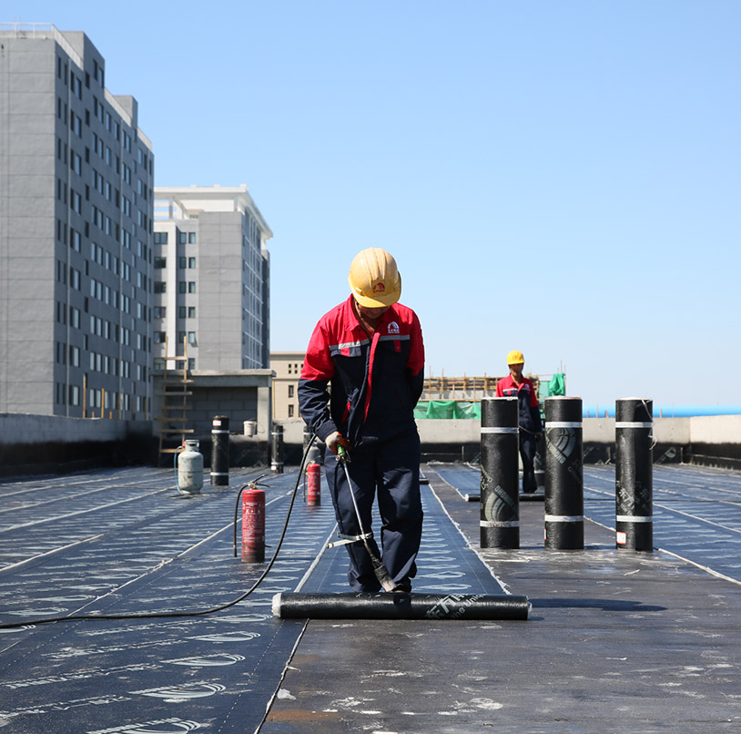 77���� �C ȫ����ȫ����̬�ȵ���������ֱ��ƽ̨