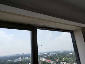 77���� �C ȫ����ȫ����̬�ȵ���������ֱ��ƽ̨