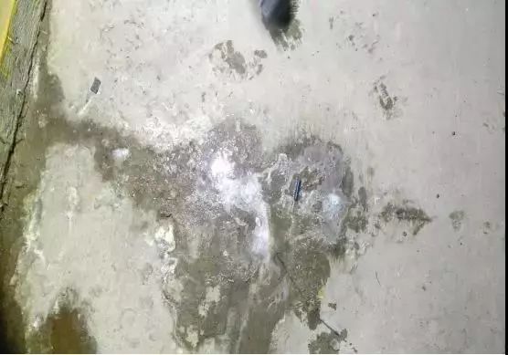 77���� �C ȫ����ȫ����̬�ȵ���������ֱ��ƽ̨