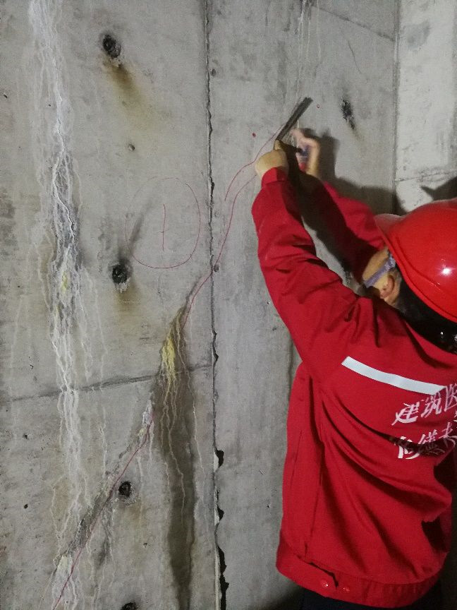 77���� �C ȫ����ȫ����̬�ȵ���������ֱ��ƽ̨