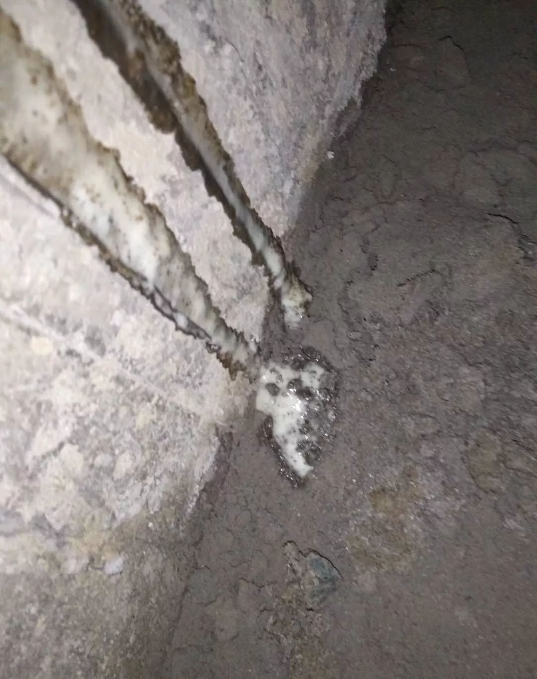 77���� �C ȫ����ȫ����̬�ȵ���������ֱ��ƽ̨