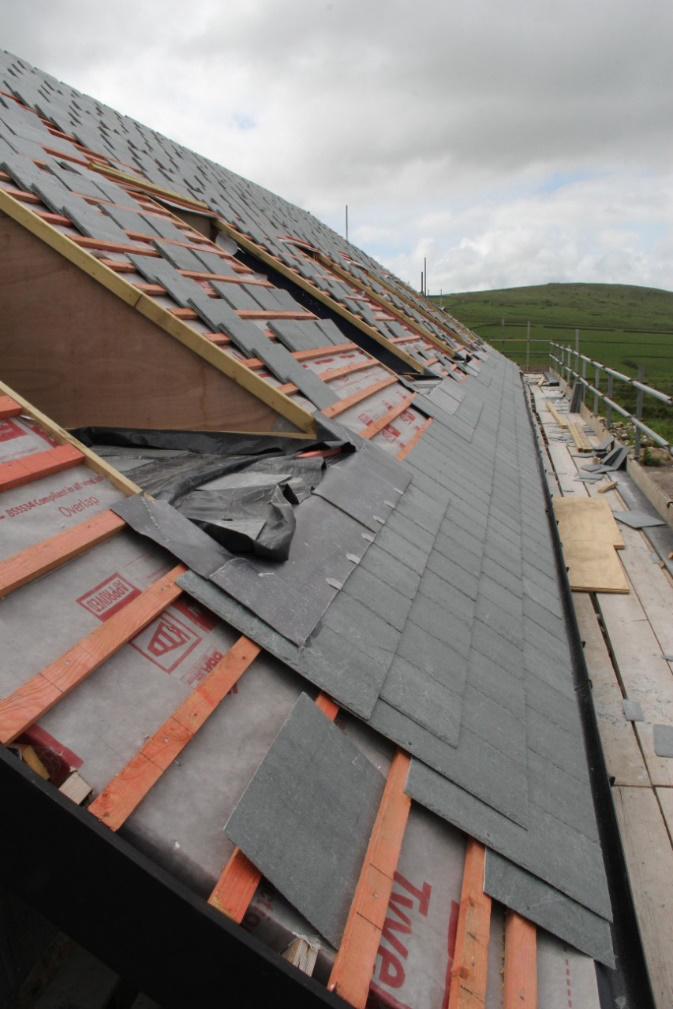 77���� �C ȫ����ȫ����̬�ȵ���������ֱ��ƽ̨