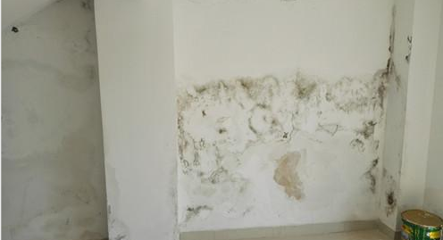 77���� �C ȫ����ȫ����̬�ȵ���������ֱ��ƽ̨