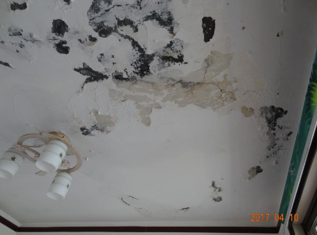 77���� �C ȫ����ȫ����̬�ȵ���������ֱ��ƽ̨