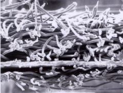 77���� �C ȫ����ȫ����̬�ȵ���������ֱ��ƽ̨