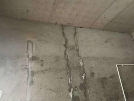 77���� �C ȫ����ȫ����̬�ȵ���������ֱ��ƽ̨