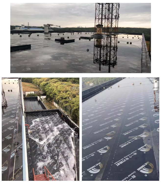 77���� �C ȫ����ȫ����̬�ȵ���������ֱ��ƽ̨