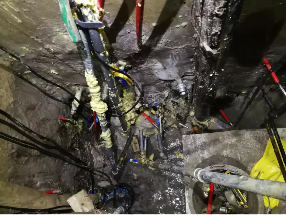 77���� �C ȫ����ȫ����̬�ȵ���������ֱ��ƽ̨