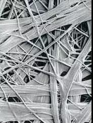 77���� �C ȫ����ȫ����̬�ȵ���������ֱ��ƽ̨