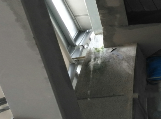 77���� �C ȫ����ȫ����̬�ȵ���������ֱ��ƽ̨