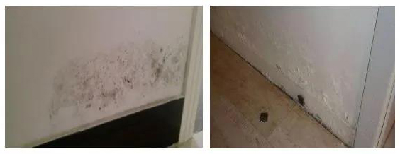 77���� �C ȫ����ȫ����̬�ȵ���������ֱ��ƽ̨