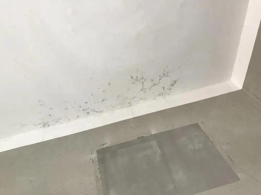 77���� �C ȫ����ȫ����̬�ȵ���������ֱ��ƽ̨