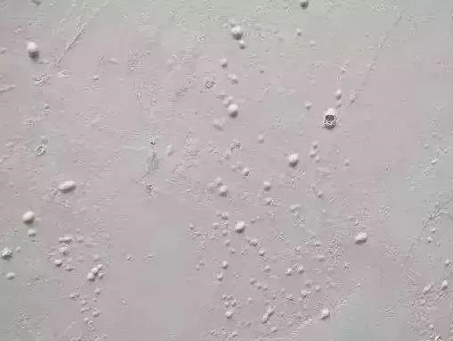 77���� �C ȫ����ȫ����̬�ȵ���������ֱ��ƽ̨