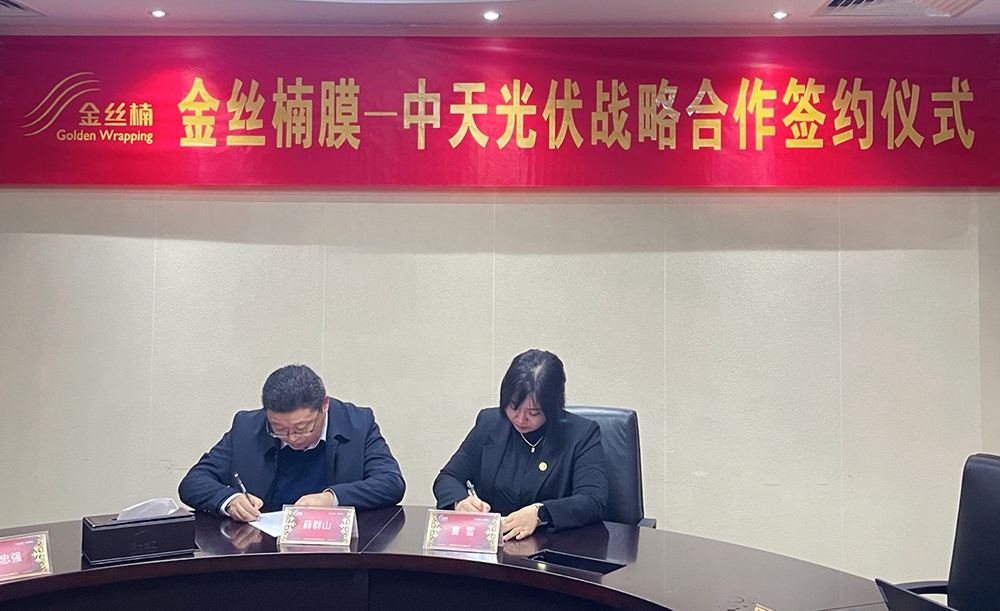 77体育 – 全网最全最有态度的体育赛事直播平台