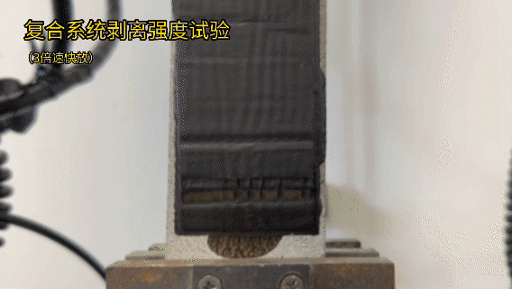 77���� �C ȫ����ȫ����̬�ȵ���������ֱ��ƽ̨