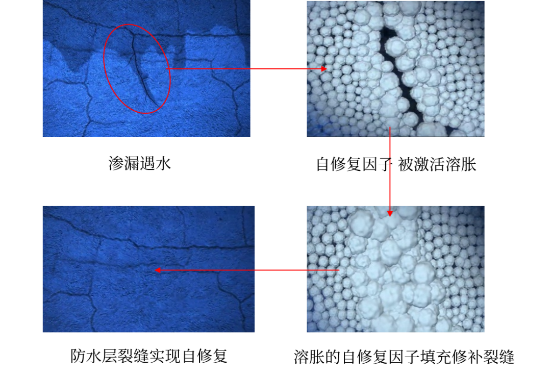 77���� �C ȫ����ȫ����̬�ȵ���������ֱ��ƽ̨