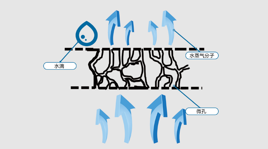 77���� �C ȫ����ȫ����̬�ȵ���������ֱ��ƽ̨